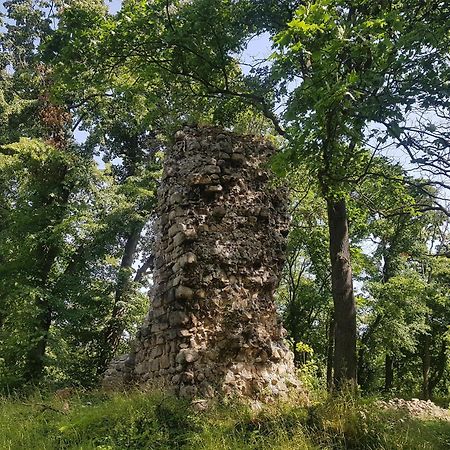 Ferienhaus Renate 7 Thale Dış mekan fotoğraf