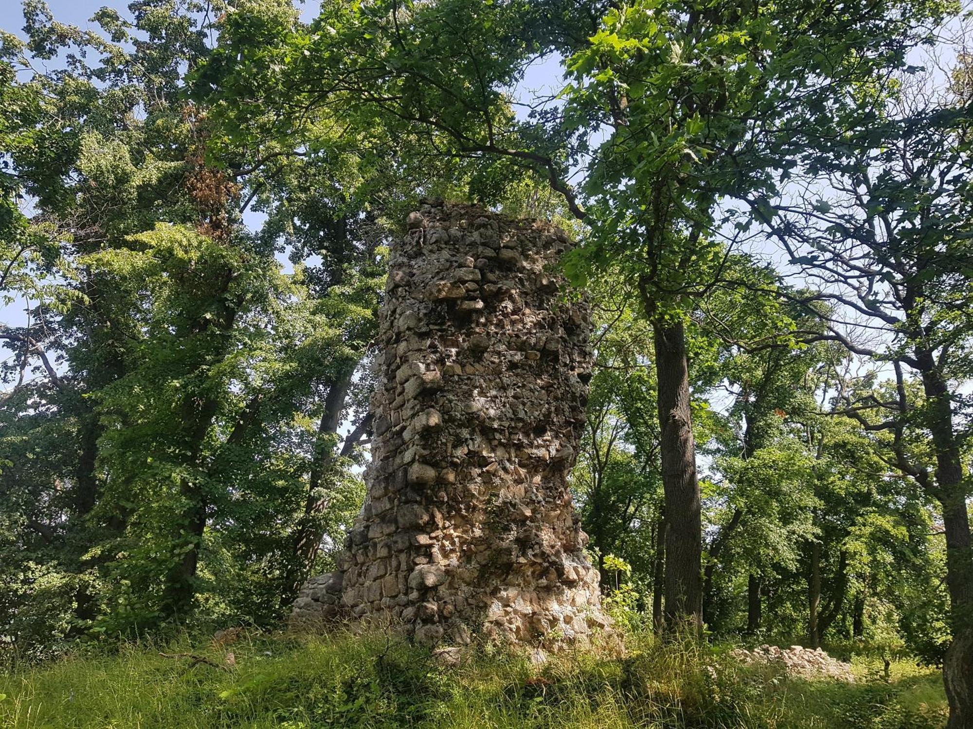 Ferienhaus Renate 7 Thale Dış mekan fotoğraf