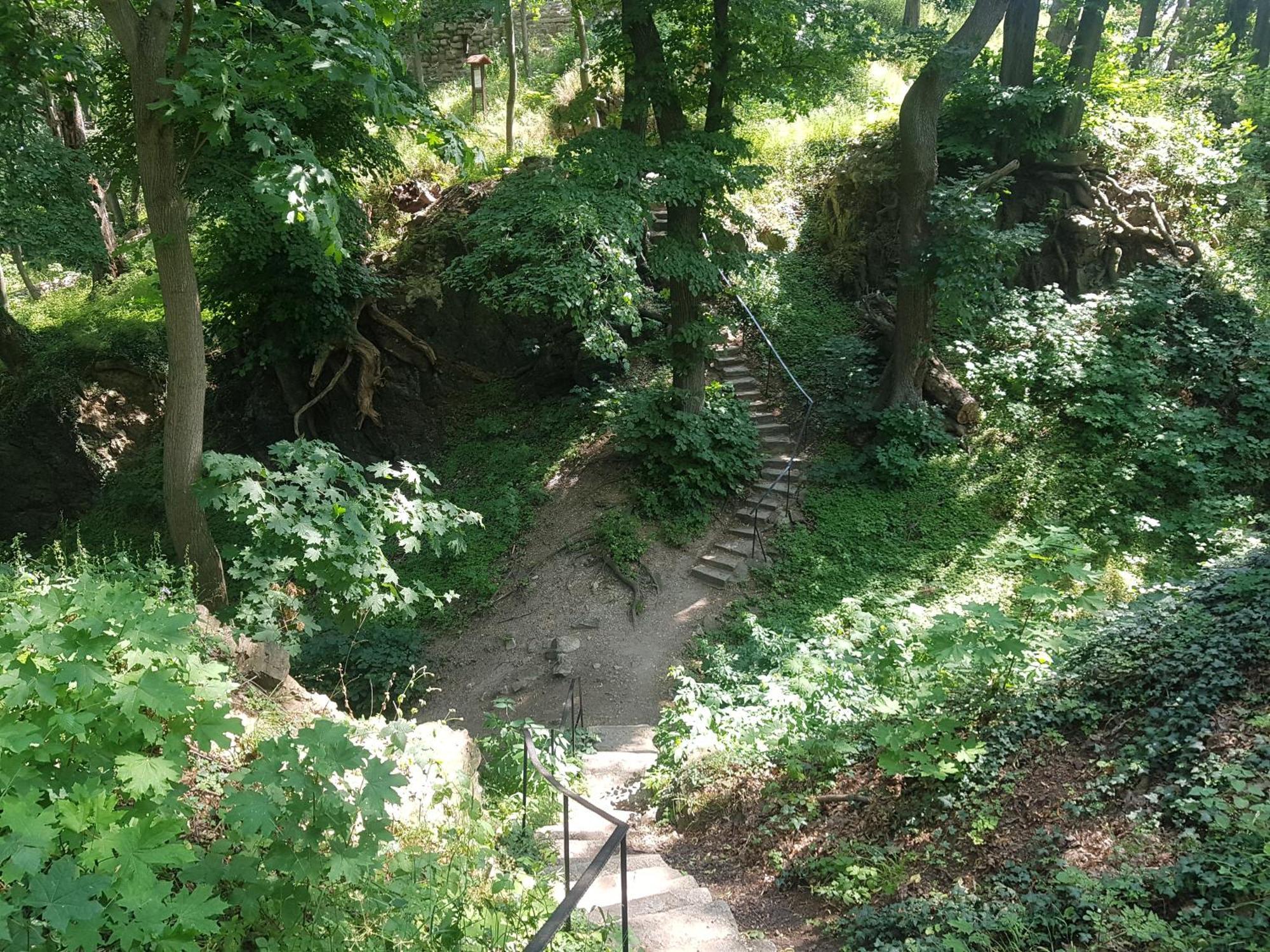 Ferienhaus Renate 7 Thale Dış mekan fotoğraf