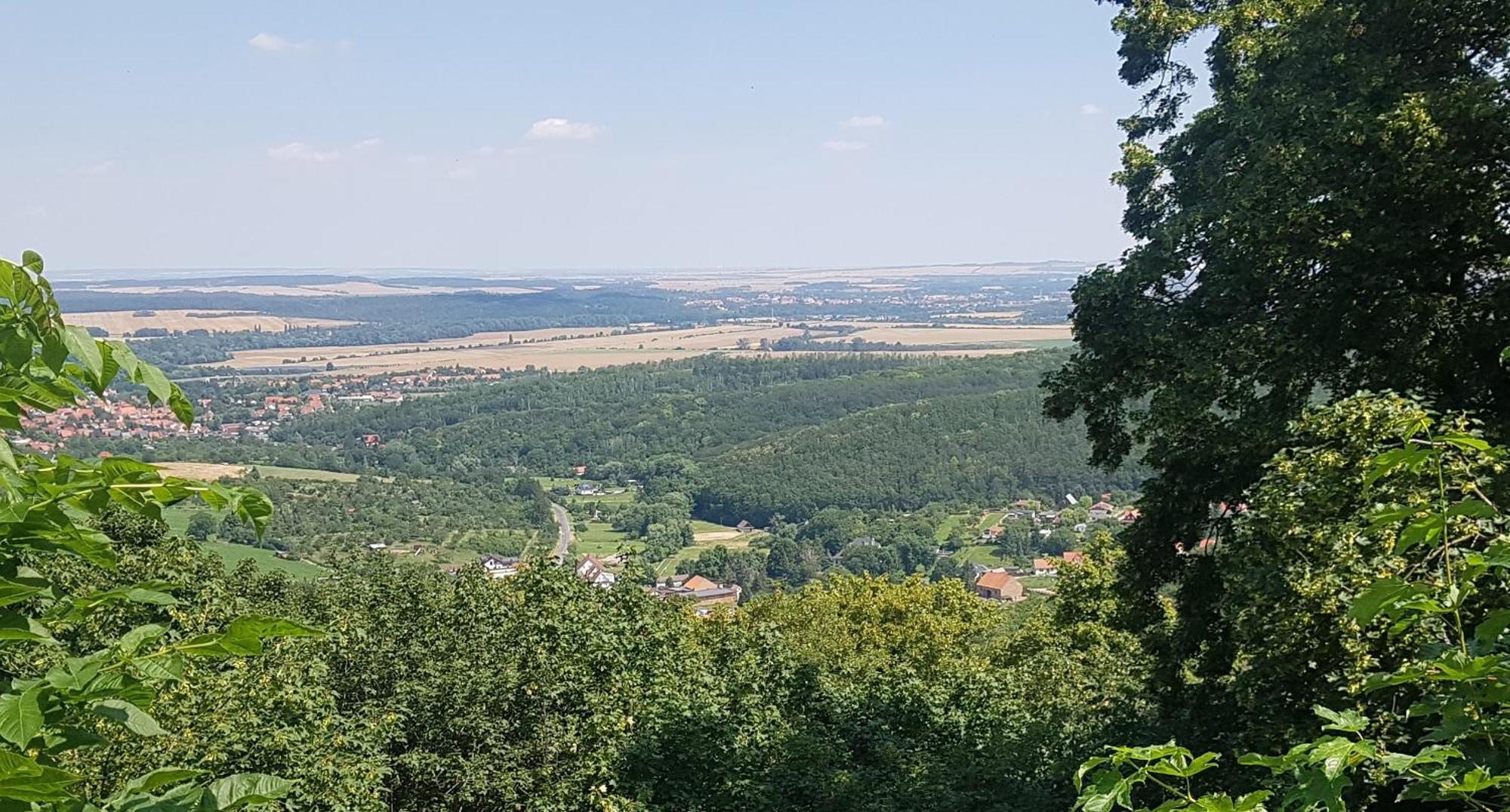 Ferienhaus Renate 7 Thale Dış mekan fotoğraf